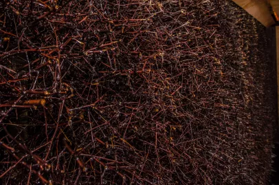 08_Saline_03