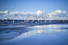 Jurmala