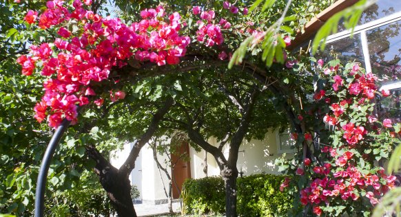 la-pergola-1.jpg