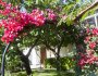 la-pergola-1.jpg