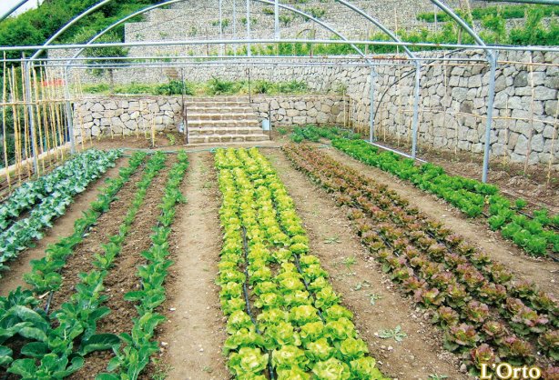 la-pergola-13.jpg
