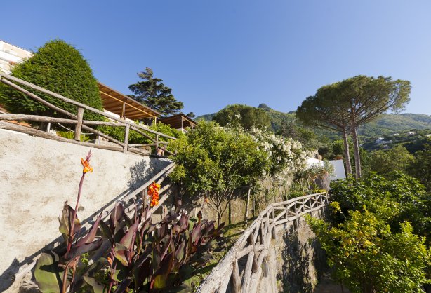 la-pergola-3.jpg