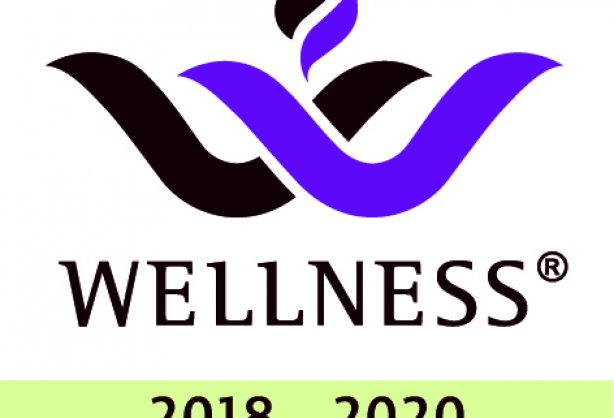 wellness_zertifikat_premium_2018-2020_cmyk.jpg