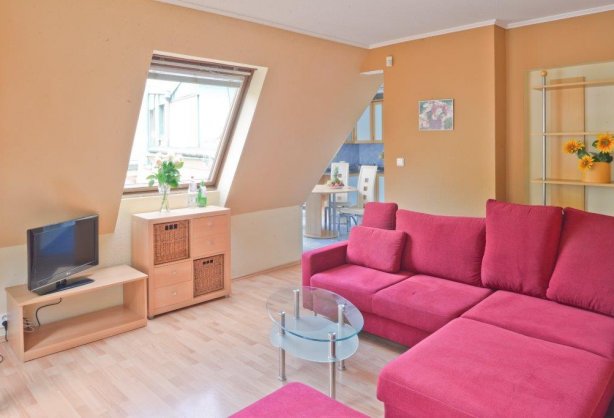 cet_0675mozart_apart.jpg