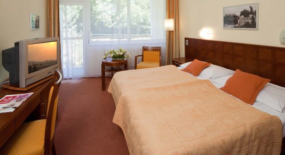 spa-resort-sanssouci-blue-house-standard-double-room.jpg