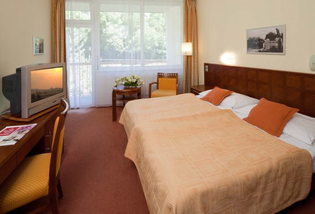 spa-resort-sanssouci-blue-house-standard-double-room.jpg