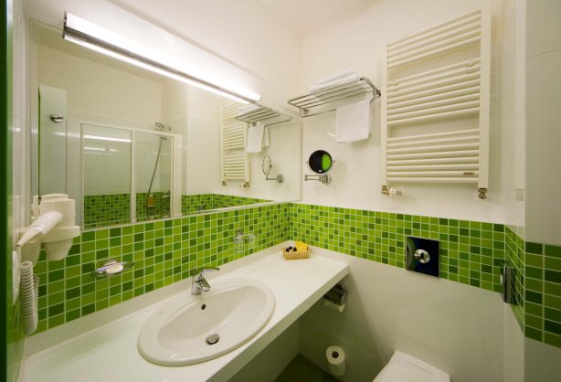 spa-resort-sanssouci-green-house-standard-single-room-bathroom.jpg