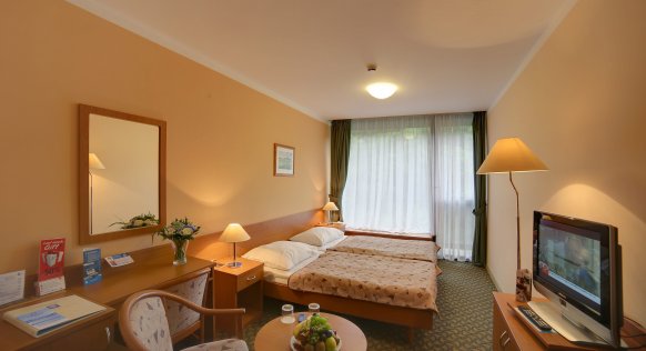 room-comfort-plus-4.jpg