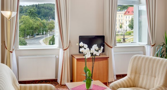 imperial_suite-plus_room-206_16a1559.jpg