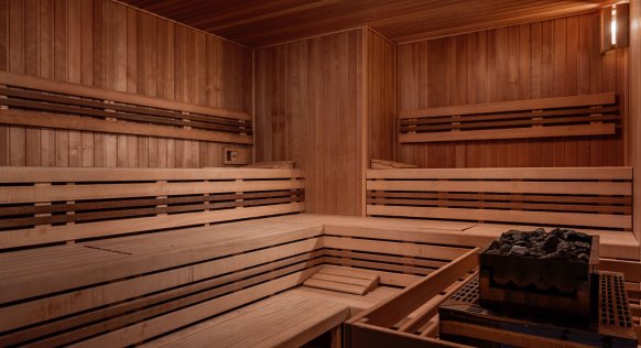 19-51-Nabokov sauna