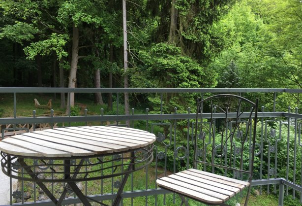 forest-apt-balkon.JPG