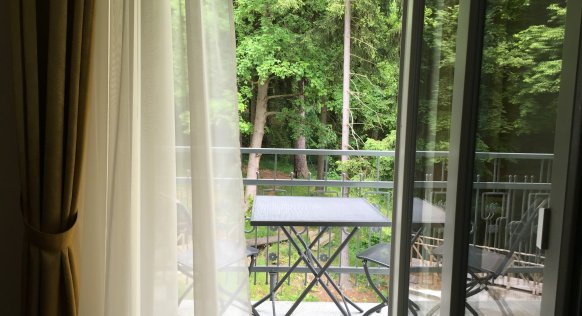 forest-apt3.JPG
