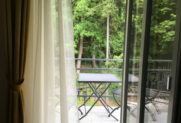 forest-apt3.JPG