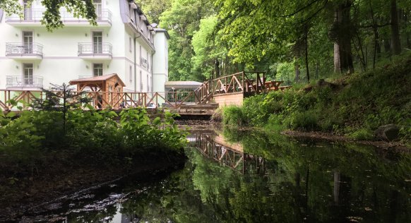 forest-hauptfasade.JPG