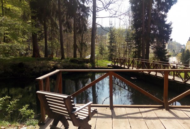 forest-jezirko.jpg