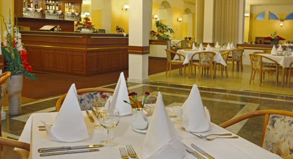 vltava-restaurace-3-maxi2277.jpg
