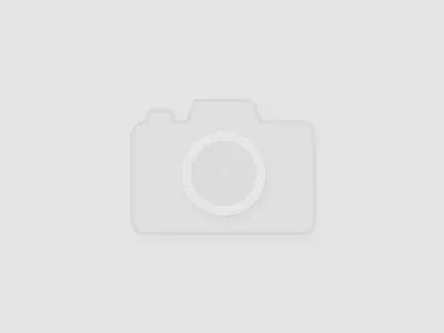 no image no image