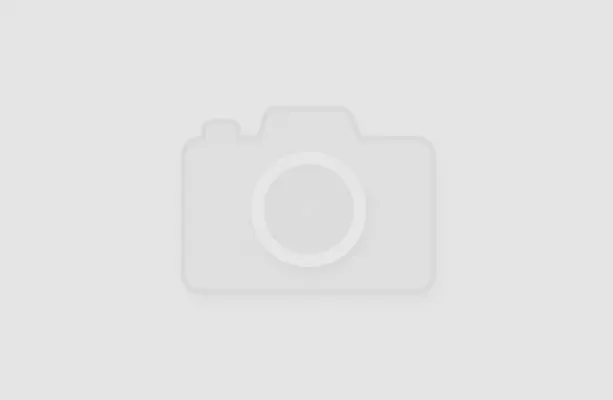 no image no image