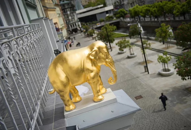 Elefant