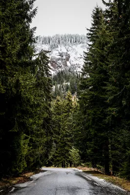 Rhodope Mountains, Bulgaria