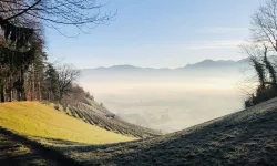Nebel, Berge, Berneck Bild
