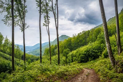Nationalpark Muranska planina